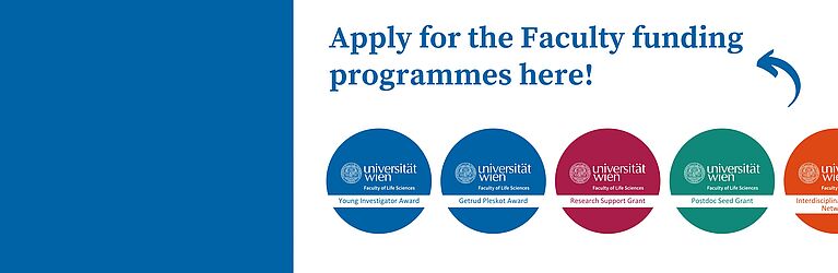 Faculty funding programmes - calls open!